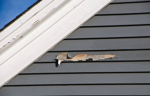 Affordable Siding Repair and Maintenance Services in Gratton, VA